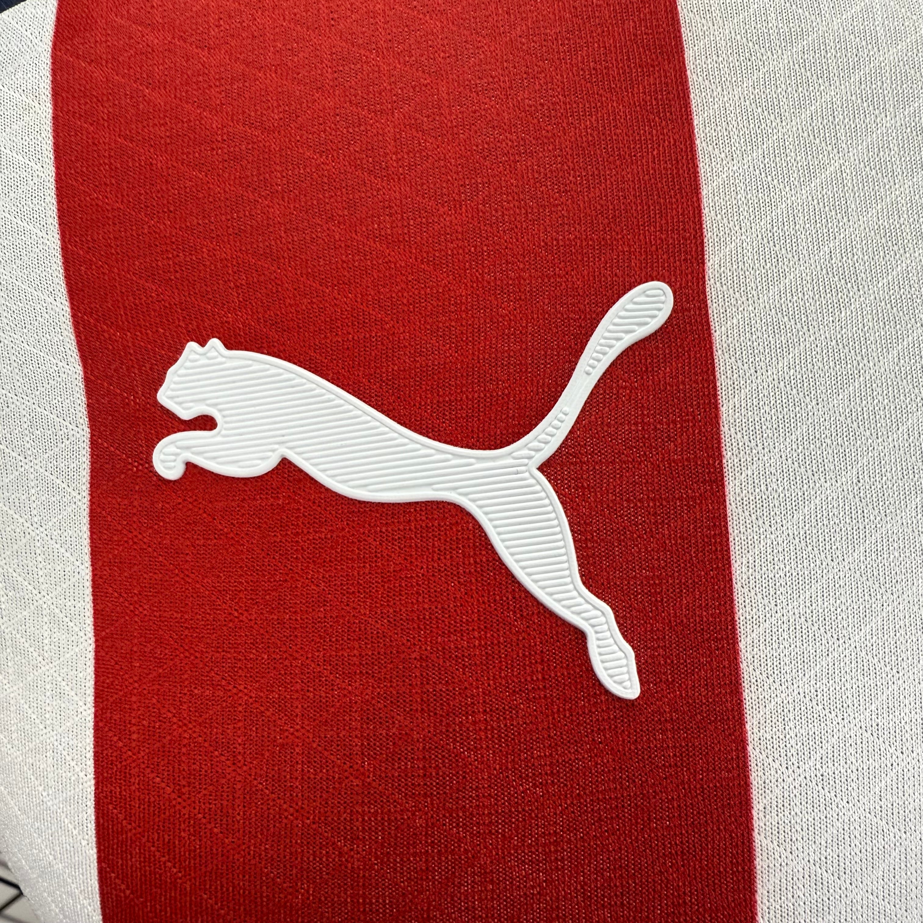 Jersey Hombre Chivas Local Jugador 25-26 Puma