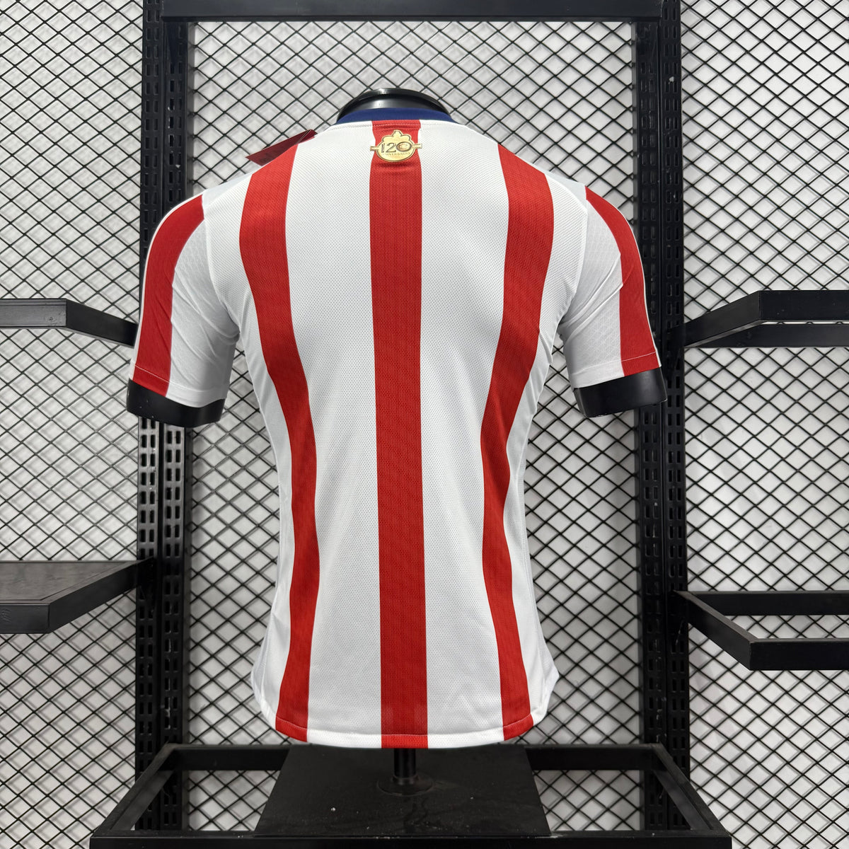 Jersey Hombre Chivas 120 aniversario Puma Ed. Especial