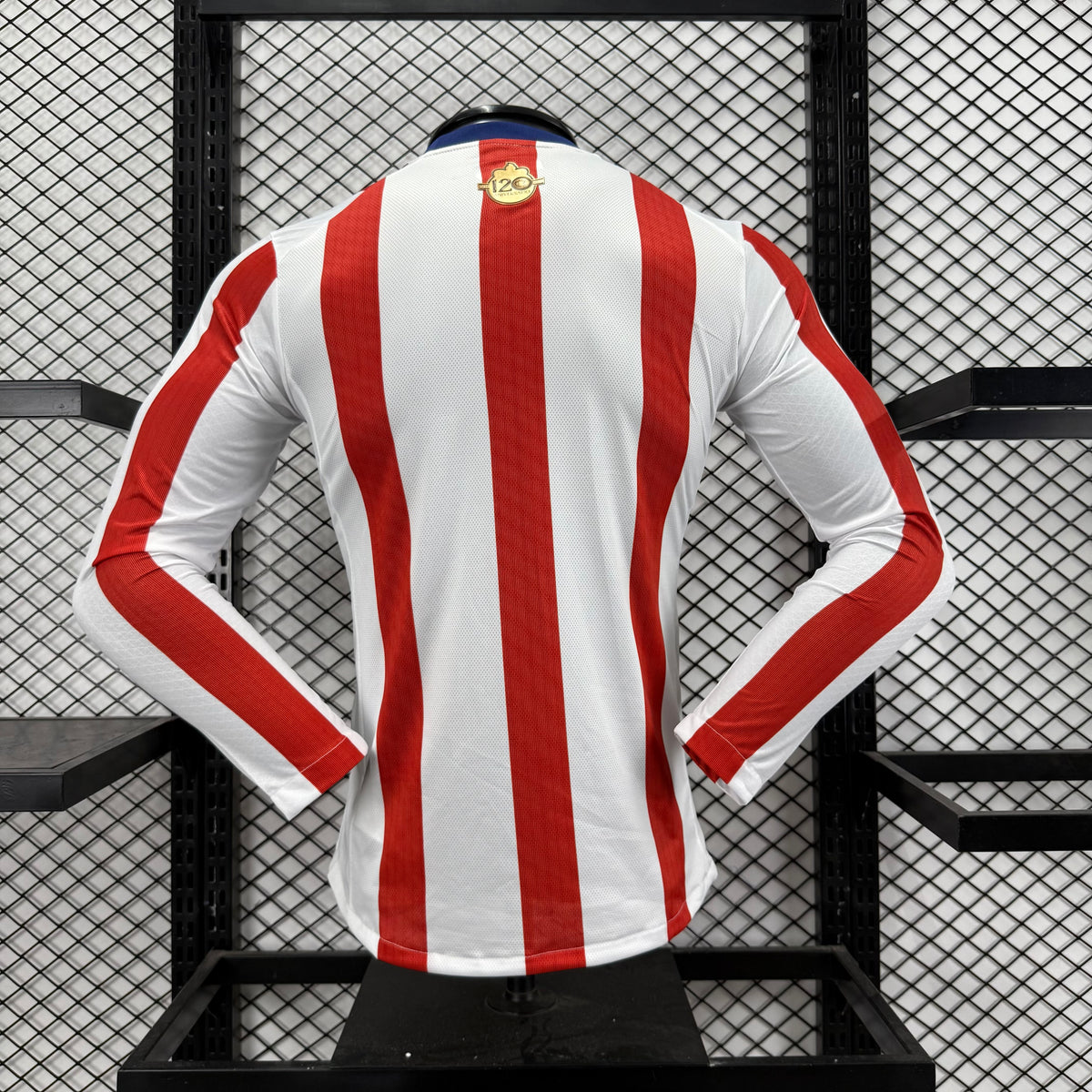 Jersey Hombre Chivas 120 aniversario Puma Ed. Especial