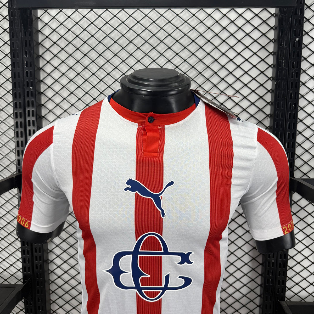 Jersey Hombre Chivas 120 aniversario Puma Ed. Especial