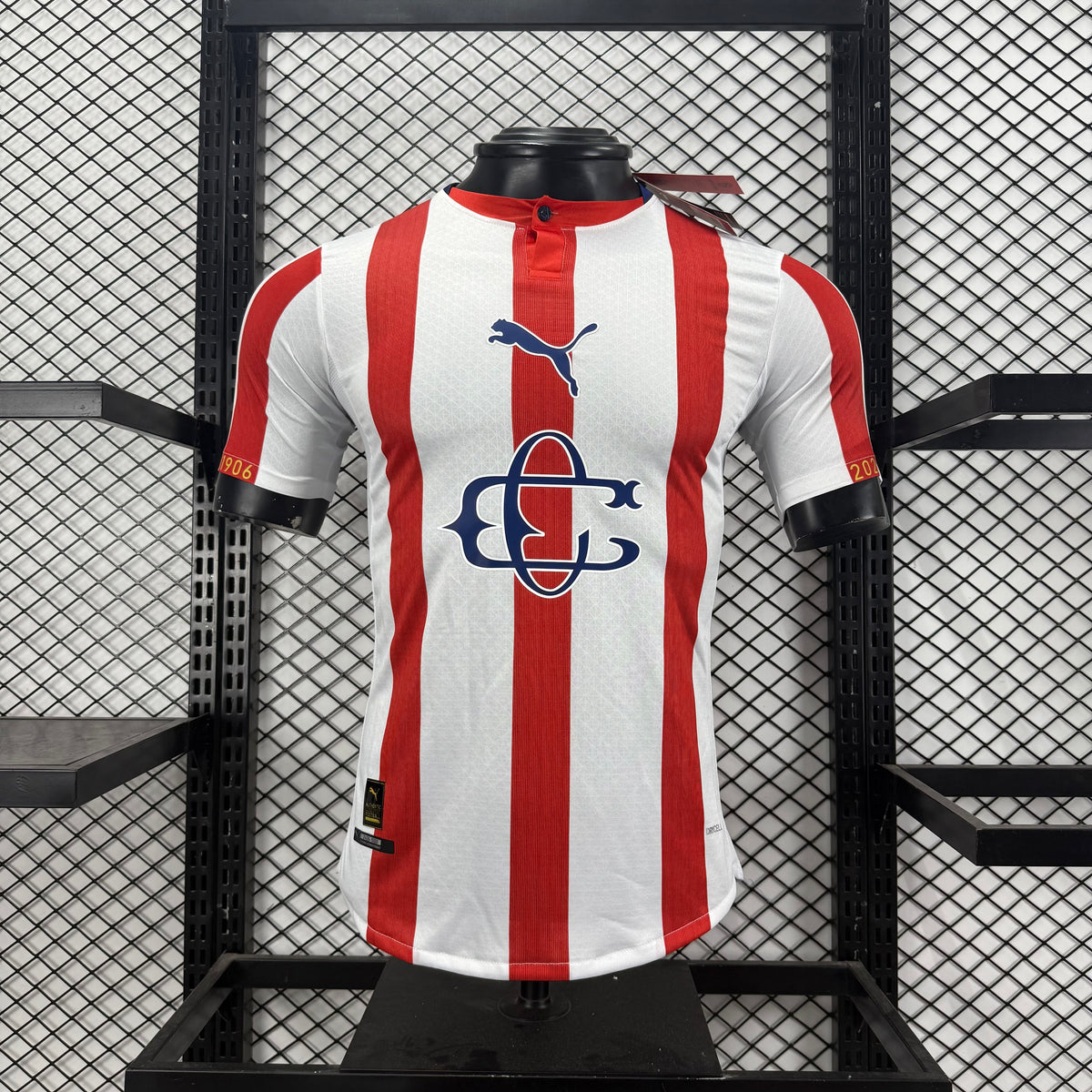 Jersey Hombre Chivas 120 aniversario Puma Ed. Especial